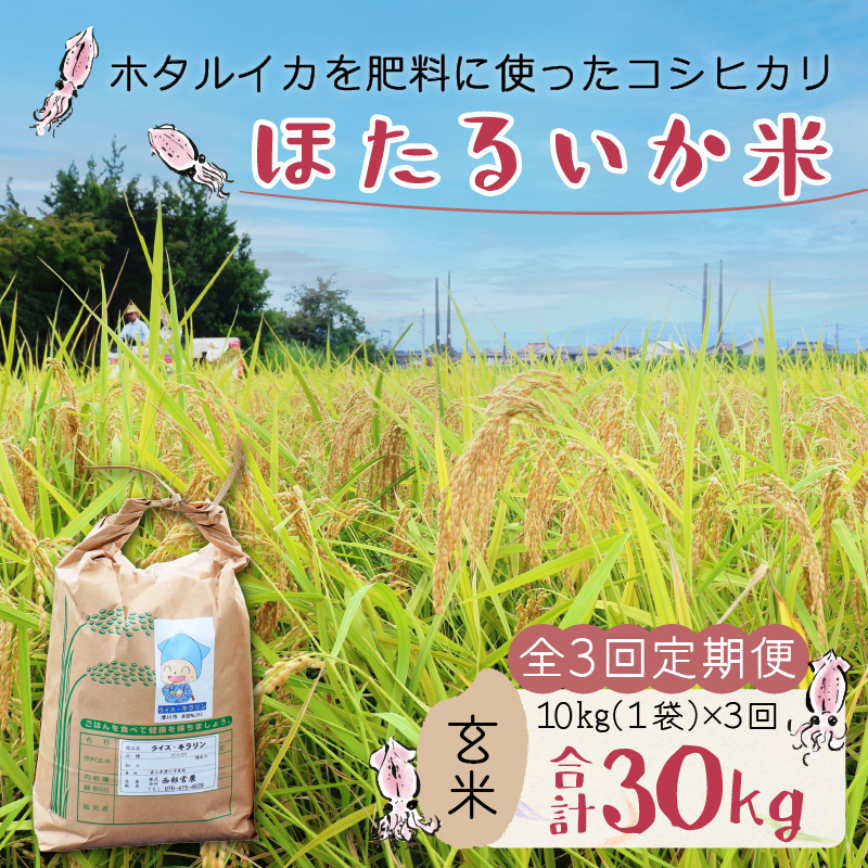 【訳あり】ほたるいか米（玄米10kg）×３回計30kg【3カ月定期便】 [D-021001]