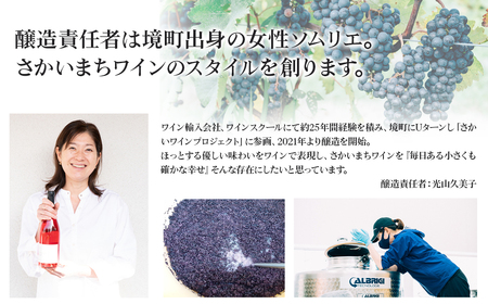 【リンゴの果実酒シードル6本セット】 330ml×6本 さかいまちワイナリー K2653