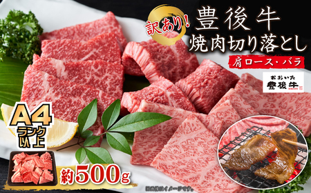 訳あり！【A4～A5】豊後牛焼肉切り落とし(肩ロース・バラ) 500g　D23