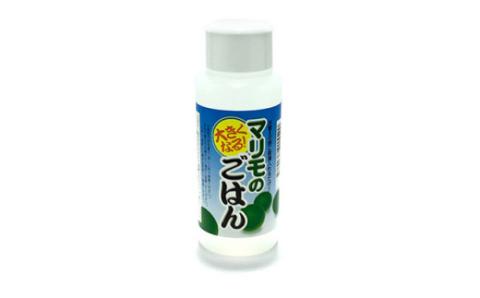 【期間限定！寄附額改定↓！】阿寒湖銘菓まりもプリン5個入と養殖まりもセット（ブルー） 北海道 釧路 ふるさと納税 養殖まりも 飼育 プリン カスタード スイーツ 菓子 _F4F-1863