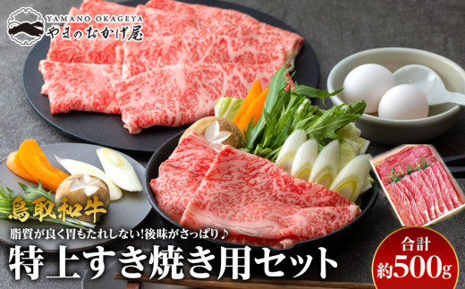 37.鳥取和牛 特上すき焼き用セット 約500g【国産 鳥取和牛 和牛 焼肉 肉 にく ステーキ 鳥取県 北栄町 おすすめ 人気】