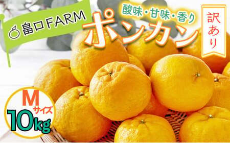 訳ありポンカン ＜10kg＞ Mサイズ 【畠口FARM（畠口　佳養）】