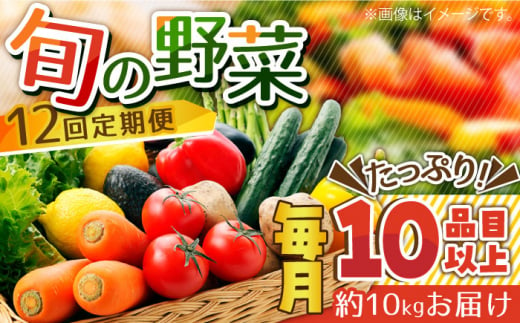 【12回定期便】地元農家さんが収穫した旬のお野菜 10㎏ 10種詰め合わせ / 野菜 旬 新鮮 採れたて 季節野菜 旬野菜 農家直送 野菜定期便 定期便 / 南島原市 / ミナサポ  [SCW047]