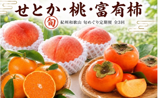 
            【全3回】紀州和歌山産旬のフルーツセット(せとか・桃・富有柿)  / 果物定期便 フルーツ定期便 セトカ 柑橘 くだもの 果物 カキ かき 柿 もも モモ 桃 【tkb392】
          