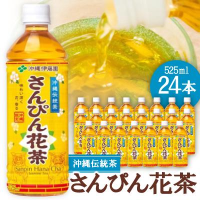 ふるさと納税 名護市 さんぴん花茶 525ml×24本