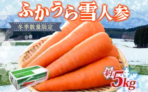 【冬季数量限定】ふかうら雪人参 約5kg 人参 にんじん ニンジン ジュース フルーティー 甘い おいしい ブランド 野菜 青森県 深浦町