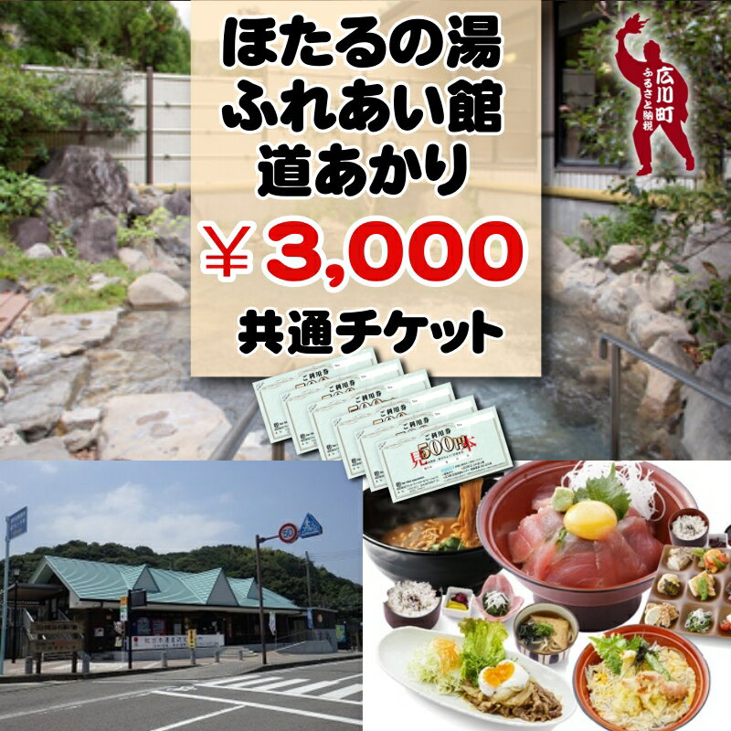 【ふるさと納税】 広川町施設利用券 (500円×6枚) / 旅行 南紀 温泉 食事券 宿泊券 //ticket