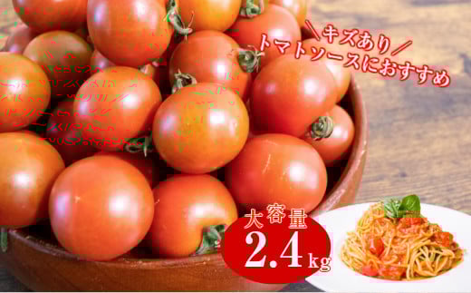 【12月～8月頃発送】＜約2.4kg＞ 訳あり アイメック フルティカ トマト＞ましまファーム ミニトマト フルーツトマト ワケあり 規格外