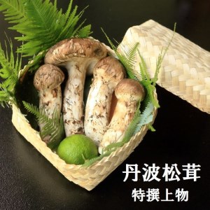丹波松茸 特選上物＜丹波四季菜料理 宮本屋＞松茸