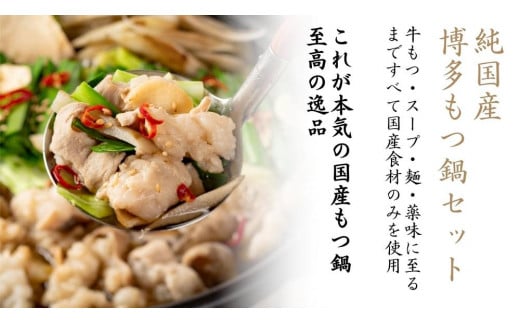 【純国産】博多もつ鍋セット（2～3人前）＜醤油味＞