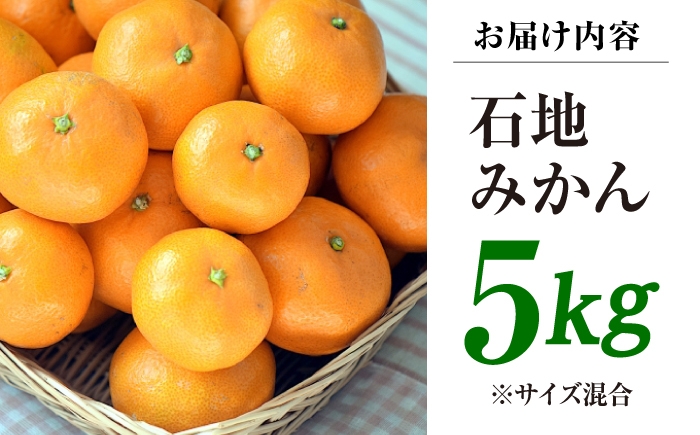 みかん 5kg