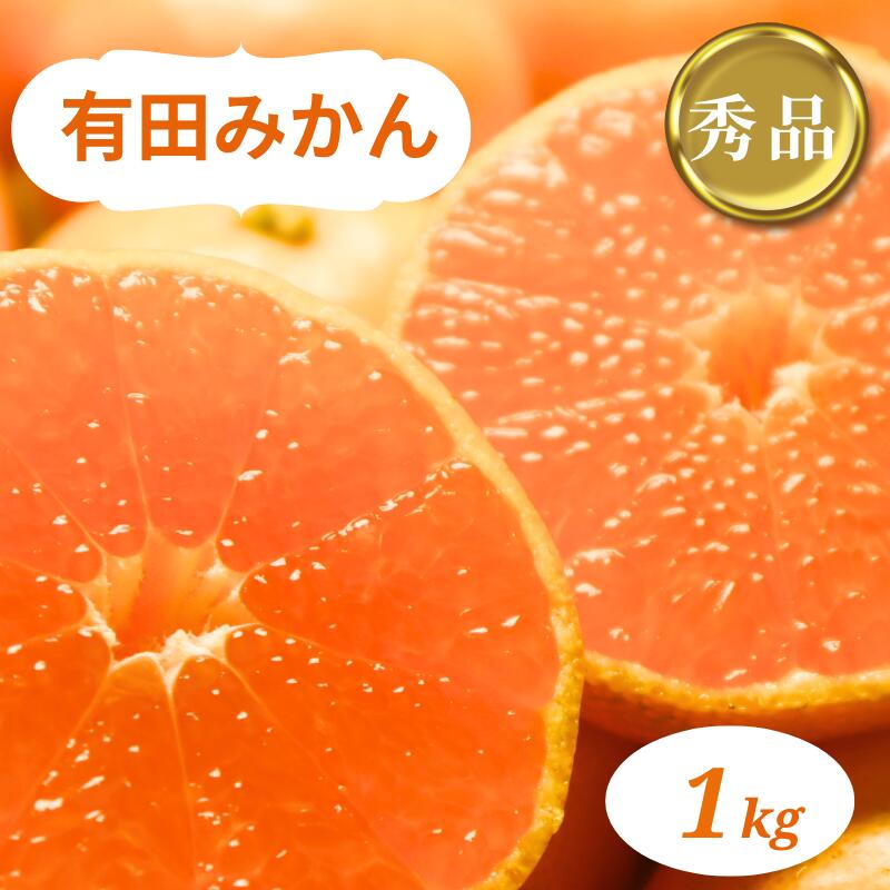 【ふるさと納税】和歌山県産 有田みかん 1kg 秀品 ※2026年10月中旬-2026年1月中旬頃に順次発送予定（お届け日指定不可)