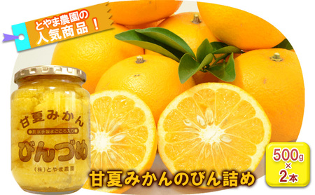 甘夏みかんビン詰め　小瓶2本セット（500g×2本セット）