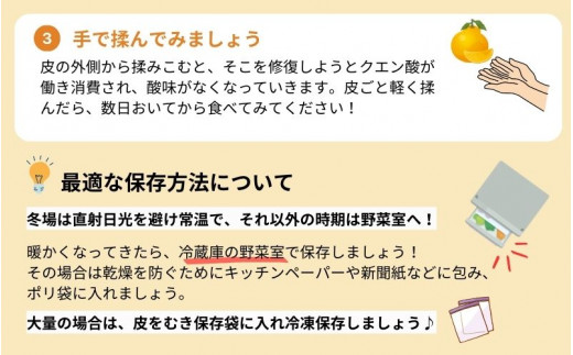 紀州有田産 不知火(しらぬひ) 約5kg ＜2025年2月中旬頃～2025年3月上旬頃発送＞ デコポン 不知火 みかん ミカン 柑橘 フルーツ【uot709】