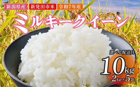 【先行予約】令和7年産 ミルキークイーン 10kg(2kg×5) 白米 玄米 ミルキークイーン 新発田市産 《2025年12月発送》 sasakikoki002_01_202512