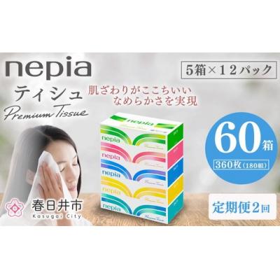 ふるさと納税 春日井市 【定期便】2回発送 (3か月おきに) ネピアティシュ 5箱×12パック