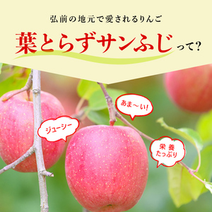 【 2月発送 】 糖度13度以上 おもてなし用 葉とらず サンふじ 約 5kg 【 弘前市産 青森りんご 】 果物 フルーツ デザート 食後 青森県産 産地直送