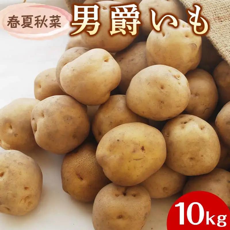 『春夏秋菜』男爵いも10kg 2026年10月より順次発送  じゃがいも ジャガイモ EB8-0198