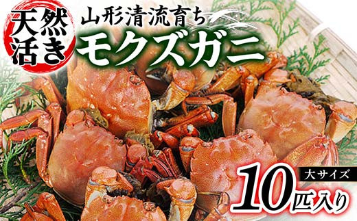 
                  山形清流育ち 天然活きモクズガニ（大サイズ 10匹入り）  かに 海の幸 カニ 蟹 ガニ 魚介 海産物 海鮮 食品 山形県 FSY-0873
                