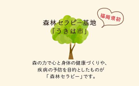 【参加型体験】リフレッシュ&デトックス 心癒されるうきはの森林セラピー