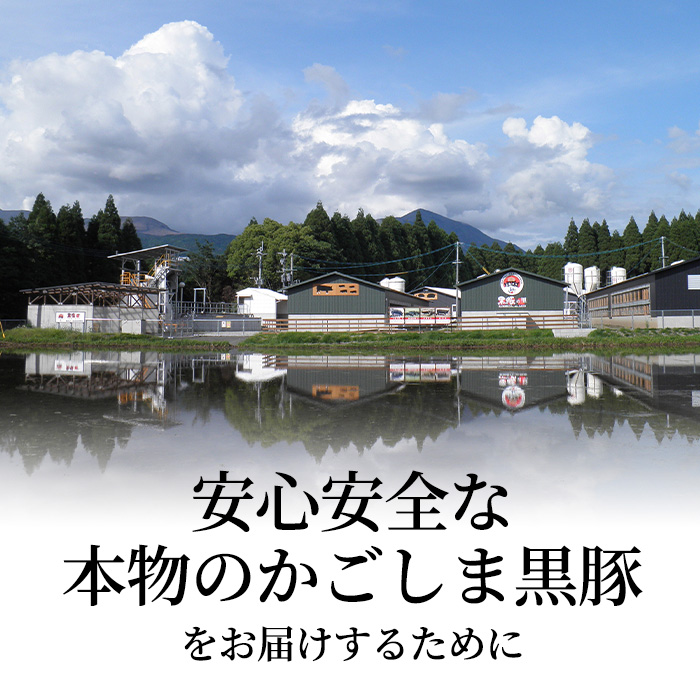 P-302 【定期便：6ヶ月毎月送付】霧島高原純粋黒豚(1頭分34.5㎏) 【霧島高原ロイヤルポーク】