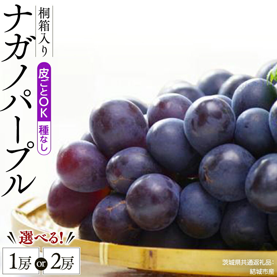 【ふるさと納税】＼ 選べる房数 ／ 【 桐箱入り 】 ナガノパープル 1房 2房 【2026年8月から発送開始】（茨城県共通返礼品 [ぶどう]：結城市産） 果物 フルーツ マスカット ぶどう ギフト 贈答 プレゼント 桐箱