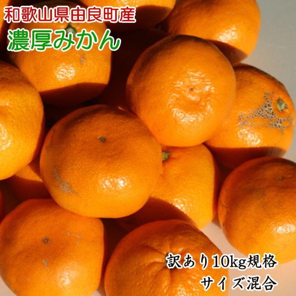【ふるさと納税】【訳あり・ご家庭用】 和歌山由良町産のみかん 約10kg サイズ混合 ［TM201］ | フルーツ 果物 くだもの 食品 人気 おすすめ 送料無料