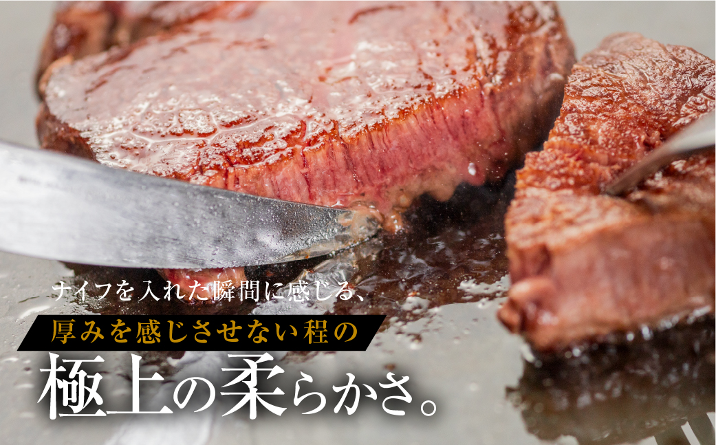 [A5等級] 飛騨牛 シャトーブリアンステーキ 4枚 |牛肉 肉 和牛 国産牛 牛肉 肉 ステーキ ヒレ ヒレステーキ 冷凍 岐阜 本巣市 トキノ屋 食品