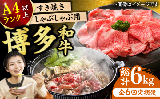 【6回定期便】博多和牛 しゃぶしゃぶすき焼き用（ロース肉・モモ肉・ウデ肉）1kg（500g×2p） 肉 牛肉 黒毛和牛 赤身 薄切り 国産 福岡 冷凍 広川町 / 株式会社MEAT PLUS [AFBO036]