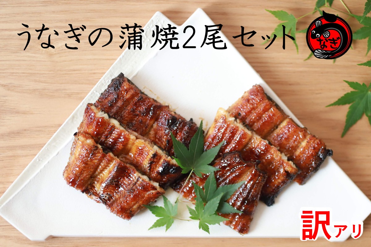 【A9-043】訳アリ！うなぎ蒲焼2尾セット