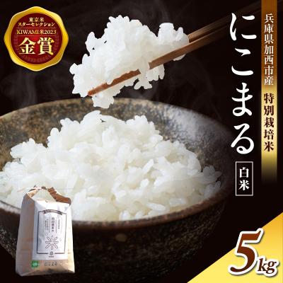 ふるさと納税 加西市 令和7年産 特別栽培米 にこまる 白米5kg 東京米スター[No5698-0879]