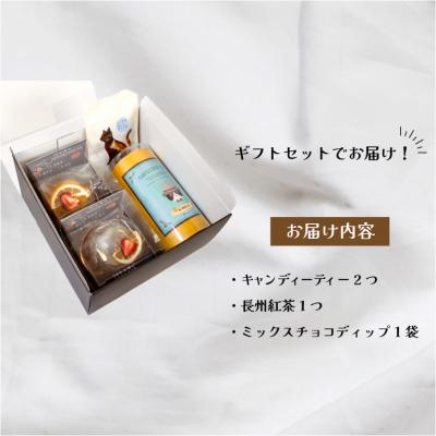 ふるさと納税 下関市 キャンディーティー 長州 紅茶 セット ドライフルーツ ギフト プレゼント LL005 |  | 01