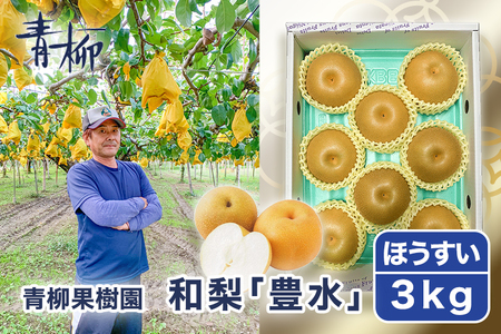 【2026年先行予約】青柳果樹園の和梨 豊水 3kg（4～6玉）《9月上旬～順次出荷》 果物 ほうすい 加茂市 青柳果樹園