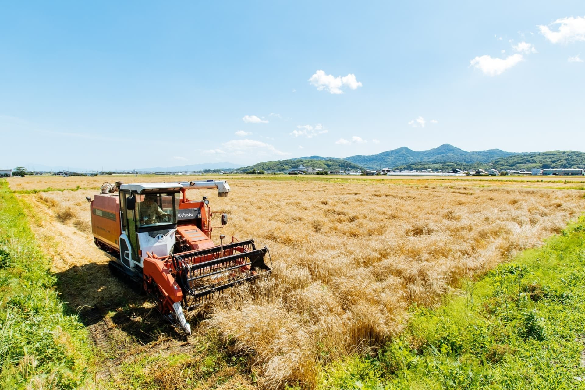 ななしま家こと、七島農産は佐賀県中央部にそびえる天山の麓、小城市三日月町にて代々農業をしています。