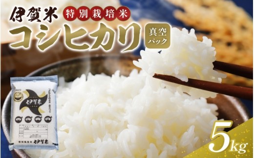 【令和7年産】特別栽培米 伊賀米コシヒカリ 真空パック 5kg/ 伊賀米 伊賀米コシヒカリ コシヒカリ こしひかり 米 お米 こめ コメ 白米 精米 国産米 国産 令和7年産 令和7年 2025年産 特別栽培米 特別栽培 5kg 米5kg お米5kg 白米5kg 精米5kg コシヒカリ5kg 真空パック 真空包装 真空米 保存米 長期保存 備蓄米 備蓄 保存 保存食 非常食 【nsym0002】