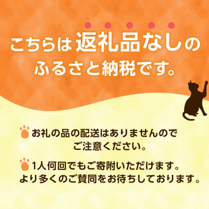 飼い主のいない猫への避妊・去勢手術費支援プロジェクト【返礼品なし】（寄附金額：1,000円）