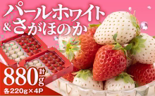 【先行予約】いちご食べ比べ！『さがほのか』と『パールホワイト』220g×各2パック 計4パック【ハヤシダファーム】 いちご 苺 イチゴ ホワイトパール 希少 しろいちご 白苺 しろ 白 さがほのか 食べ比べ フルーツ 果物 甘い あまい  アフター対応 アフターフォロー 期間限定 産地直送 国産 佐賀県産 さがいちご 九州 佐賀県 白石町  [IAQ017]