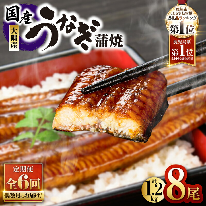 【ふるさと納税】 【定期便全6回・偶数月にお届け】 鹿児島県大隅産うなぎ蒲焼(計1.2kg・8尾、たれ・山椒付き)×6ヶ月 ＜国産＞ 無頭 ウナギ 蒲焼き 真空パック 急速冷凍 鰻丼 鰻重 ひつまぶし 鰻【大隅地区養まん漁業協同組合】