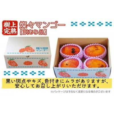 【2025年発送・訳あり】燦々マンゴー2.4kg(4～6玉)【配送不可地域：離島】