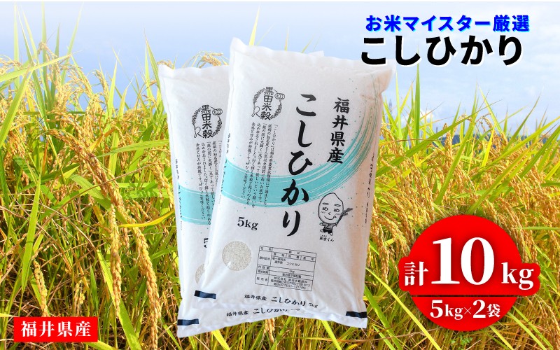 
                  令和8年産 新米 コシヒカリ 10kg（5kg × 2袋）×1回 [C-02020a] / お取り寄せ お米 精米 白米 小分け 便利 弁当 ごはん ご飯 コメ おにぎり ブランド 米 初回 送料無料 常温 配送 新生活 応援
                