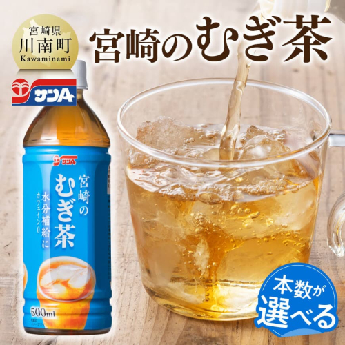 ※本数が選べる※サンA宮崎のむぎ茶　500ml PET 【 飲料 お茶 麦茶 宮崎県産 ペットボトル 】