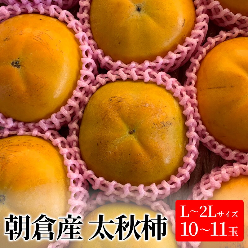 【ふるさと納税】柿 太秋柿 L～2Lサイズ 10～11玉入 かき カキ 果物 くだもの フルーツ 　お届け：2026年10月上旬～10月下旬