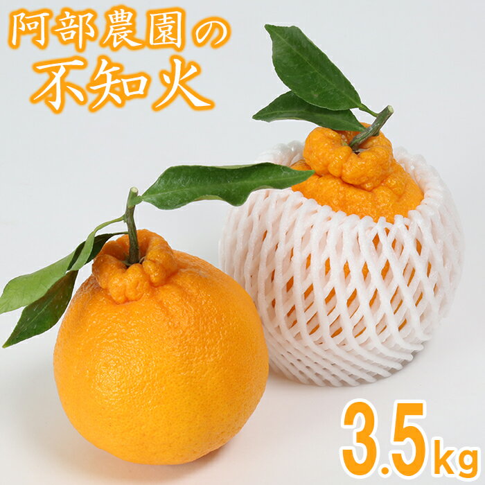 【ふるさと納税】阿部農園の「ハウス葉付き不知火 約3.5kg」 ／ ミカン みかん 蜜柑 柑橘類 不知火 数量限定 フルーツ ＜112-006＞