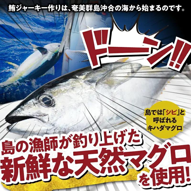 素潜り漁師マサル 監修 「 マグロ の ジャーキー 」 30g × 3袋 W062-009u 加工品