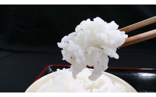 【令和8年産】弥栄町産特別栽培米「秘境奥島根弥栄」つや姫・こしひかり食べ比べ（各2kg） 米 お米 精米 白米 特別栽培米 つや姫 こしひかり 食べ比べ ごはん お取り寄せ 特産 新生活 応援 準備 