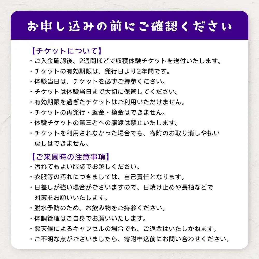 鹿児島県の南国！南大隅町の農園で、ブルーベリー摘み取り体験♪ ブルーベリー摘み取り体験チケット （60分食べ放題） ≪大人1名様分≫ BO-3｜鹿児島県 南大隅町 農園 収穫体験 果物 ブルーベリー 