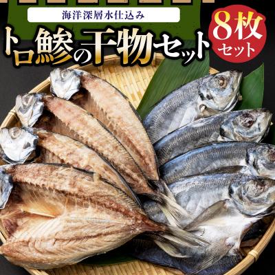 ふるさと納税 室戸市 トロ鯵(アジ)の干物セット(海洋深層水仕込み)　あじ干物