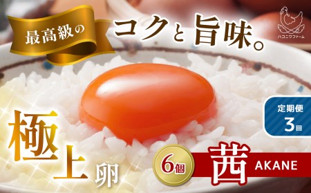 【 定期便3回 】見た目も旨みも想像以上 箱庭たまご 「茜」 6個 真岡市 栃木県