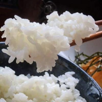 ふるさと納税 亀岡市 【毎月定期便】京都・神前米 キヌヒカリ 10kg×全3回 |  | 01