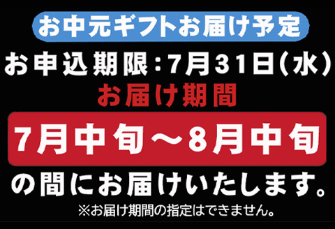 「お中元」佐賀牛希少部位100g×6種類(合計600g) にくのともる厳選 焼肉用 A5～A4等級 食べ比べ ギフト キャンプ